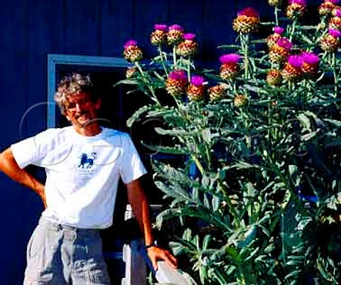 John Paul owner and winemaker with the Cardoon plant in front of Cameron Winery Dundee Oregon USAWillamette Valley
