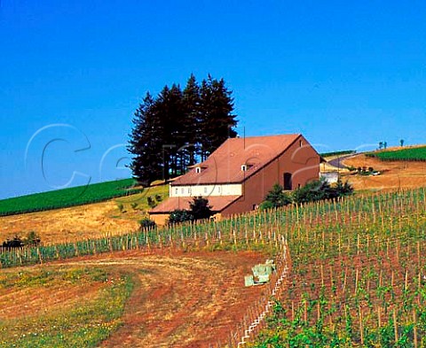 Winery and vineyards of Domaine Drouhin Dundee   Oregon USA Willamette Valley AVA