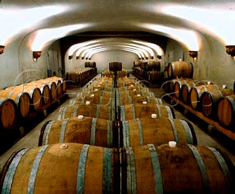 Barrel cellar of Adelsheim Vineyard   Newberg Oregon USA    Willamette Valley AVA