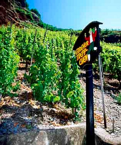 Sign marking the start of the Erdener Treppchen   vineyard on the north bank of the Mosel  Erden Germany    Mosel