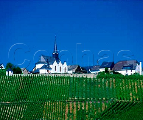 Village of Monzel above the Katzchen vineyard   Germany    Mosel