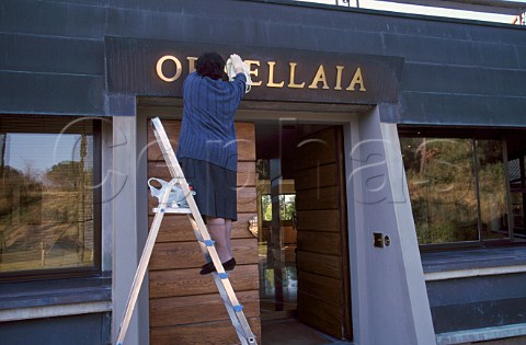 Polishing the sign at the entrance to the cellar of Tenuta dellOrnellaia  Bolgheri Tuscany Italy
