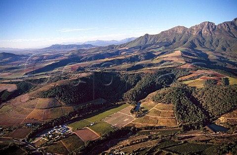 Morgenhof Estate on the western slopes   of the Simonsberg Stellenbosch   South Africa