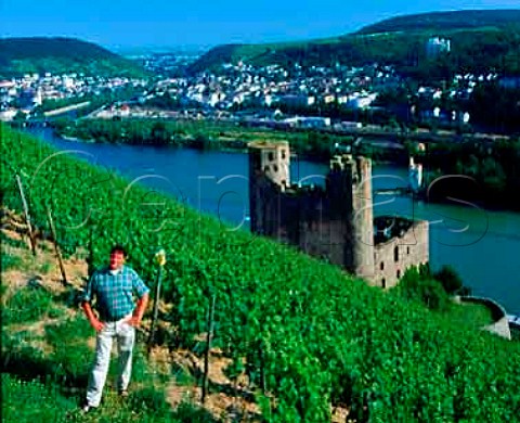 Johannes Leitz of Weingut Josef Leitz in the   Berg Schlossberg vineyard above Ehrenfels Castle and   the Rhine Rdesheim Germany  Rheingau