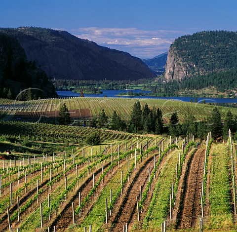Blue Mountain Vineyard with Vaseaux Lake in the distance Okanagan Falls British Columbia Canada Okanagan Valley