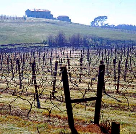 House of Michael Brajkovich MW overlooking   Mates Vineyard of Kumeu River Wines   Kumeu New Zealand