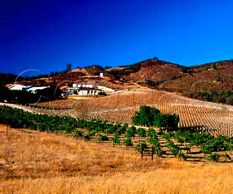 Chalone winery and vineyard in the   Gavilan Mountains above Soledad   Monterey Co California   Chalone AVA