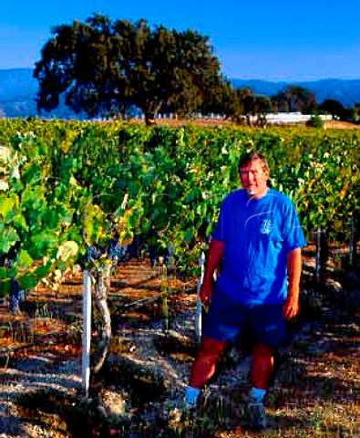 Bob Lindquist of Qup with Mourvdre grapes   in his IbarraYoung vineyard at Los Olivos   Santa Barbara Co California  Santa Ynez Valley AVA