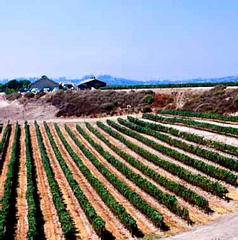 Vineyard and winery of Bryan Babcock   Buellton Santa Barbara Co California    Santa Rita Hills AVA  Santa Ynez Valley AVA