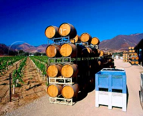 Harvest time at the winery of Au Bon Climat and Qup   in the Bien Nacido Vineyard   Santa Maria Santa Barbara Co California   Santa Maria Valley AVA