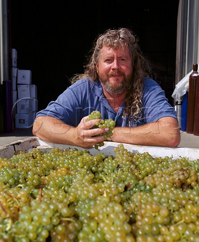 Jim Clendenen of Au Bon Climat with Tocai Friulano   grapes harvested from the Bien Nacido Vineyard  Santa Maria Santa Barbara Co California   Santa Maria Valley AVA
