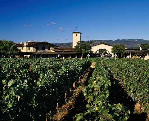 Robert Mondavi Winery viewed from the To Kalon   Vineyard Oakville Napa Co California