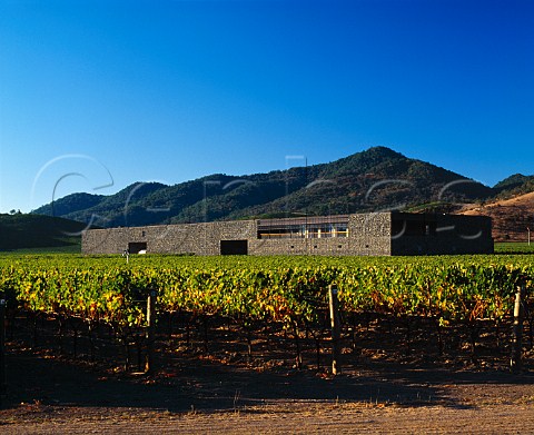 Dominus Winery in its Napanook Vineyard  Yountville Napa Co California    Napa Valley