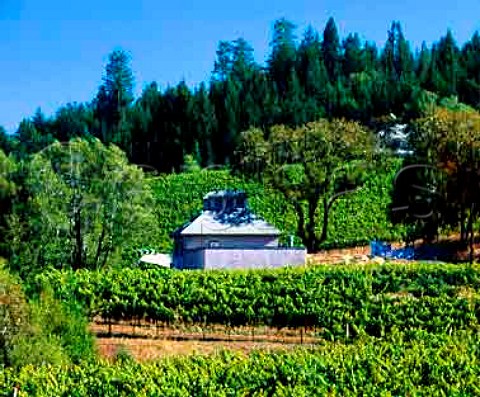 Flowers Winery amidst their vineyards on   Camp Meeting Ridge near Cazadero   Sonoma Co California    Sonoma Coast AVA