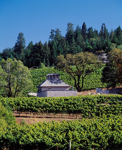 Flowers Winery amidst their vineyards on   Camp Meeting Ridge near Cazadero   Sonoma Co California    Sonoma Coast AVA