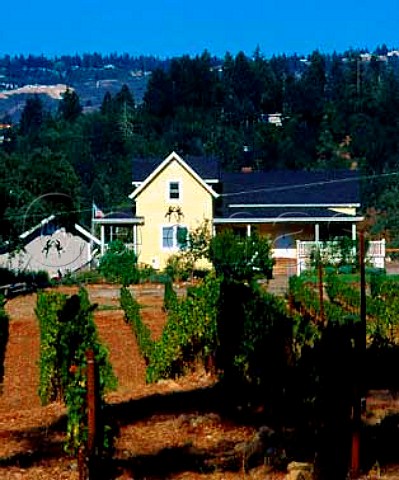 Folie  Deux vineyard and winery   StHelena Napa Co California