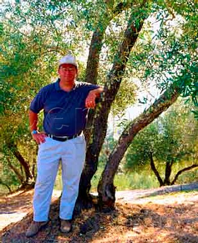 Ted Hall in the 100year old olive grove which was   discovered after he bought Long Meadow Ranch   a property he runs on organic principles    high up on the west side of Napa Valley   StHelena Napa Co California