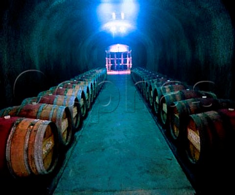Barrel cellar of Long Meadow Ranch   StHelena Napa Co California