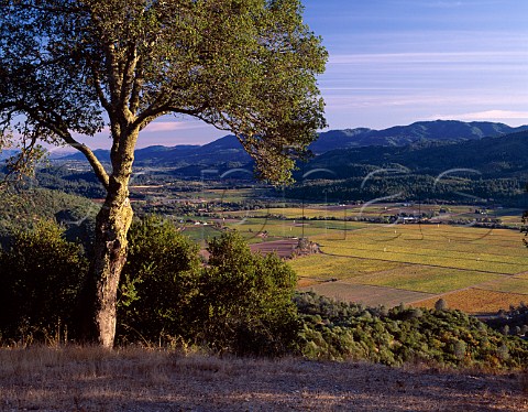 View over Napa Valley in the autumn  near Calistoga California