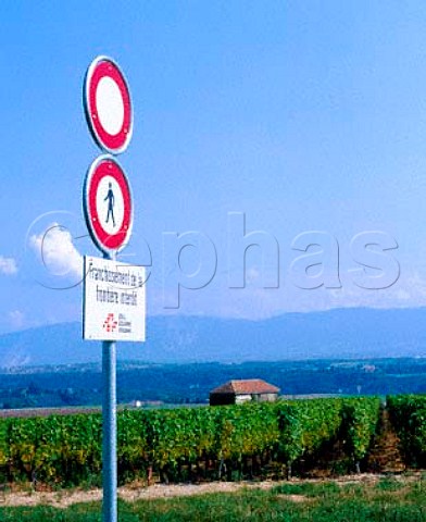 Do not Cross sign by vineyard on the   Switzerland  France border at Dardagny   near Geneva Switzerland