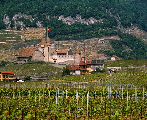 Vineyards around Chteau dAigle Aigle Vaud Switzerland