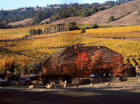 Navarro Vineyards and winery viewed from Route 128  Boonville   Mendocino Co California  Anderson Valley AVA