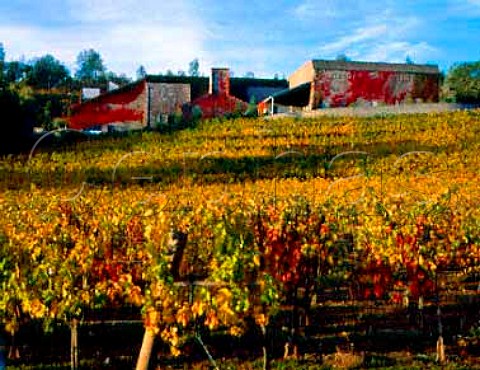 Geyser Peak Winery and autumnal vineyard  Geyserville Sonoma Co California   Alexander Valley AVA