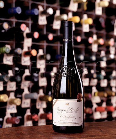 Bottle of 1997 Domaine Laroche Chablis   les Fourchaumes in the wine cellar of the   Hotel du Vin Bristol  Chablis Premier Cru