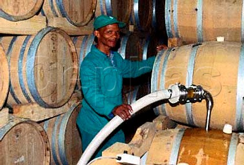 Awie Adolf winemaker in the barrel   cellar of Fair Valley Winery  Paarl South Africa