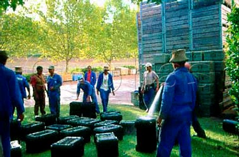 Washing grape crates at   Buitenverwachting Constantia  South Africa