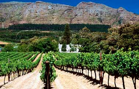 Buitenverwachting manor house viewed from   its vineyard Constantia   South Africa    Constantia WO