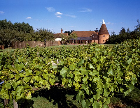 Oast house of Lamberhurst Vineyards   Kent England