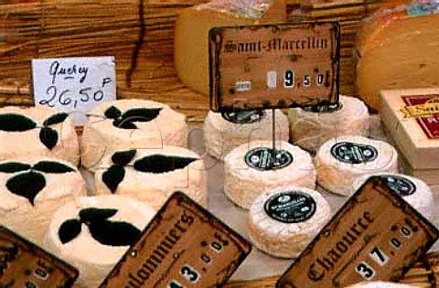 Cheese display in Fromagerie Bernard   Lefranc Ile StLouis paris France