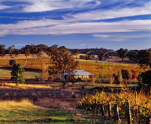 Riesling vineyards of Jeffrey Grosset in the Polish Hill River region Sevenhill South Australia Clare Valley