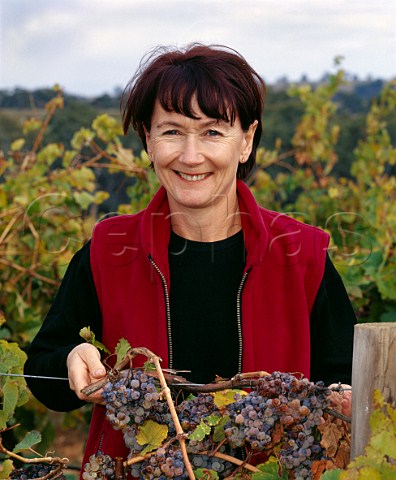 Stephanie Toole of Mount Horrocks in her Riesling   vineyard where the canes have been cut to help the   grapes to shrivel These will be used for her   Cordon Cut Riesling     Watervale South Australia  Clare Valley