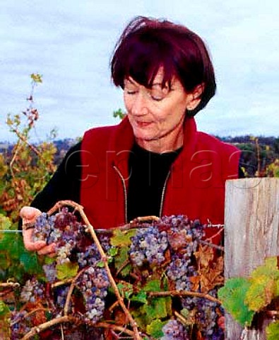 Stephanie Toole of Mount Horrocks examining her Riesling vines where the canes have been cut to help the grapes to shrivel These will be used for her sweet Cordon Cut Riesling   Watervale South Australia  Clare Valley