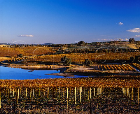 Irrigation dam amidst autumnal vineyards on   Mountadam estate Eden Valley South Australia     Eden Valley