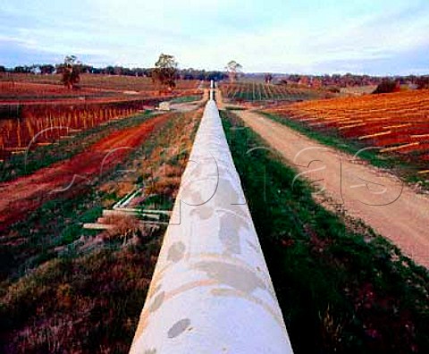 Planting new vineyards by an irrigation pipeline Birdwood South Australia   Adelaide Hills