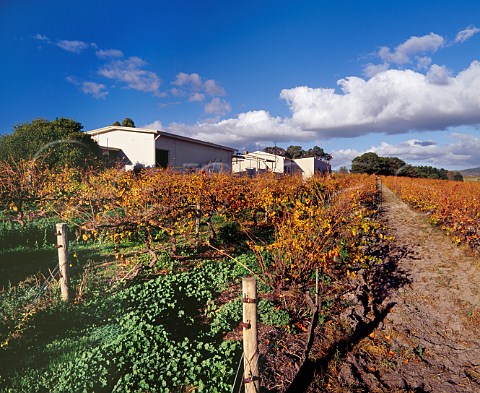 Clarendon Hills Winery Blewitt Springs   South Australia  McLaren Vale