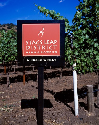 Stags Leap sign in vineyard of Regusci Winery Napa   California   Stags Leap AVA