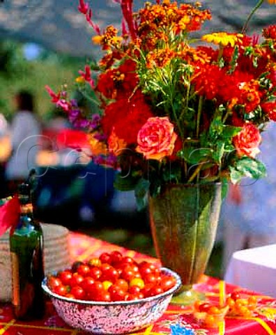 Tomatoes on display at the Heirloom Tomato Tasting  Festival held annually at Kendall Jackson Winery  Sonoma Co California