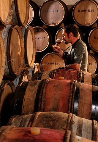 Smelling a sample of Pinot Noir taken  from barrel in Le Clos cellars of   Louis Latour Beaune Cte dOr France