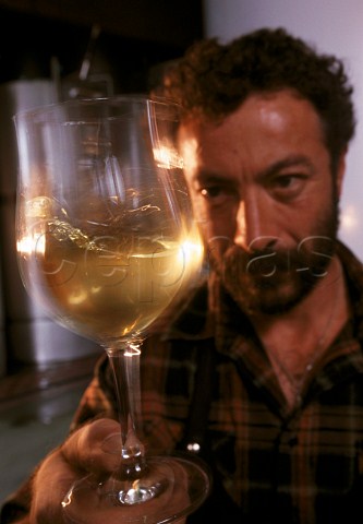 Michel Decitre examines a glass of  Chardonnay taken from tank in   Le Clos cellars of Louis Latour   Beaune Cte dOr France