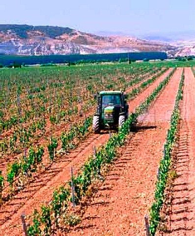 Harrowing between the rows in vineyard near   Mendavia La Rioja Spain    Rioja Baja
