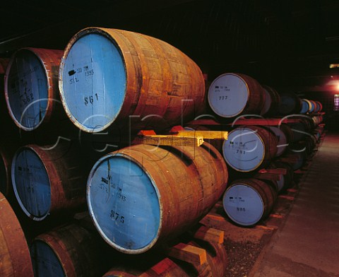 Barrels in warehouse of Strathisla whisky   distillery the oldest working distillery in the Highlands Keith Banffshire Scotland    Speyside