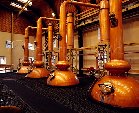 518m high swannecked stills  the tallest in   Scotland   Glenmorangie whisky distillery   Tain Rossshire Scotland     Highland
