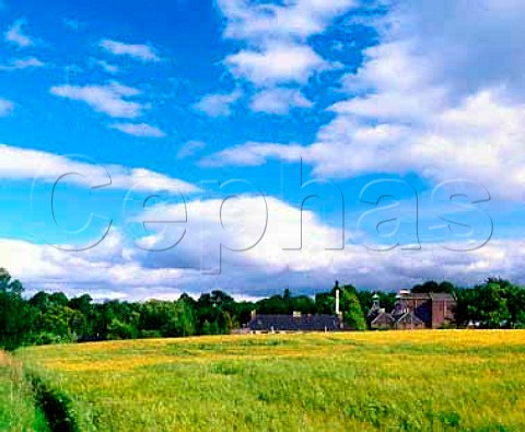 Glen Ord whisky distillery viewed over field of   barley Muir of Ord Rossshire Scotland   Highland