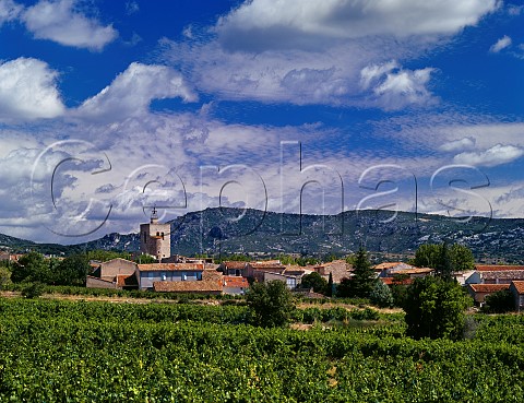 StSaturnin viewed over vineyard Hrault France   Coteaux du Languedoc
