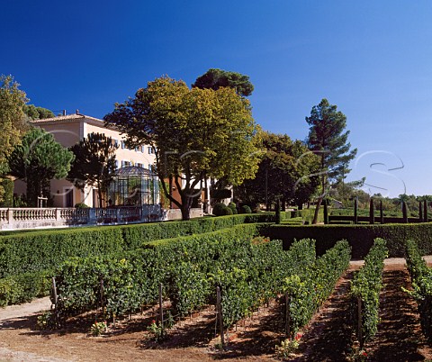 Chardonnay vineyard at Domaine de la Chevalire the Laroche property at Bziers Hrault France   Vin de Pays dOc