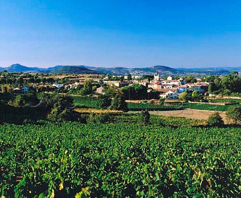 Village of Nizas around which are the vineyards of Domaine De Nizas Near Pzenas Hrault France Coteaux du Languedoc  Vin de Pays dOc